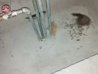 魏都卫生间测漏水价格明细